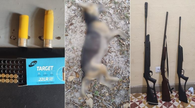 Homem é preso por porte ilegal e maus-tratos após matar cachorro em Cabeceiras